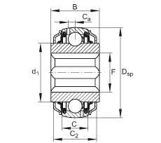 調(diào)心深溝球軸承 GVKE16-205-KRR-B-2C-AS2/V-AH01, 球面外圈，內(nèi)圈帶方孔，兩側(cè) R 型密封