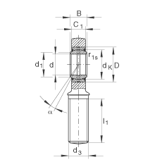 桿端軸承 GAL80-DO-2RS, 根據(jù) DIN ISO 12 240-4 標(biāo)準(zhǔn)，帶左旋外螺紋，需維護，兩側(cè)唇密封