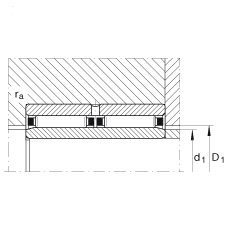 滾針軸承 NAO25X42X32-ZW-ASR1-XL, 無擋邊，雙列